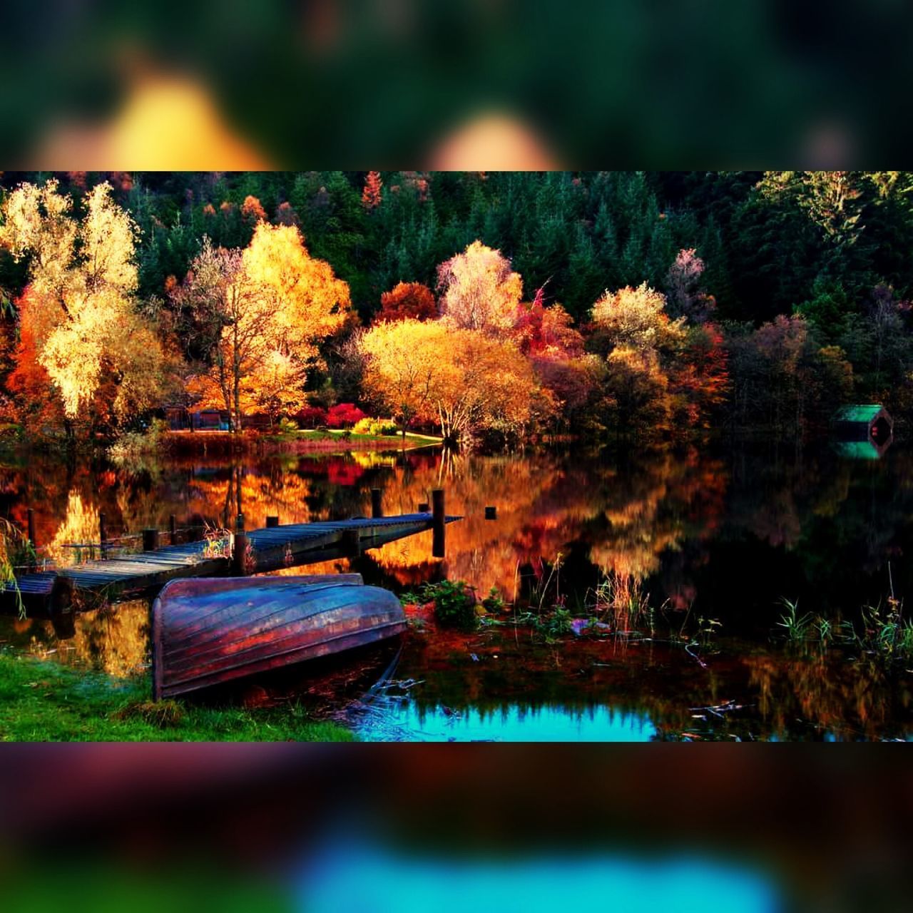 LAKE BY TREES DURING AUTUMN