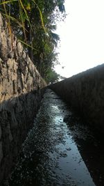 Narrow road along trees