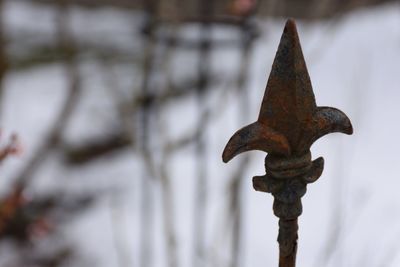 Close-up of rusty metal during winter