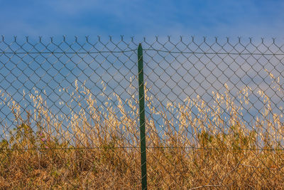 Barbed wire fence on field against sky