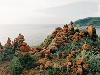 Plants on rocks by sea against sky