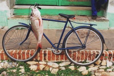 Bicycle leaning against wall