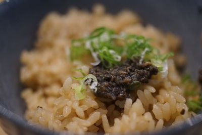 Close-up of food in plate
