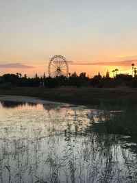 ferris wheel