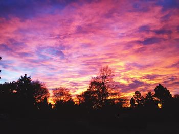 Silhouette trees in forest against orange sky