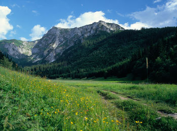 Scenic view of mountains against sky