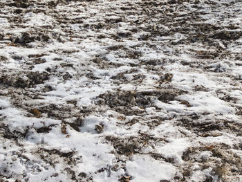 Full frame shot of snow