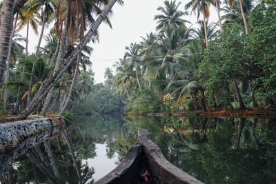 Scenic view of river amidst trees against sky