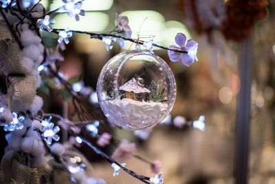 Close-up of christmas bauble hanging on tree