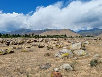 Scenic view of field against sky