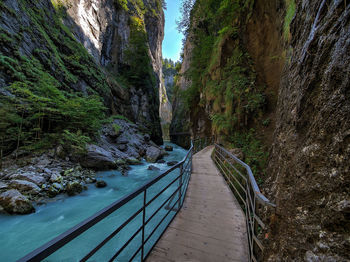 Footbridge amidst trees and rocks