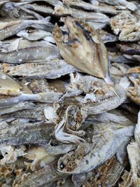 High angle view of fish for sale at market