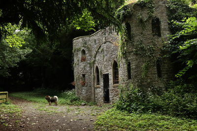 Low angle view of historical building