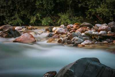 Rocks by river in forest