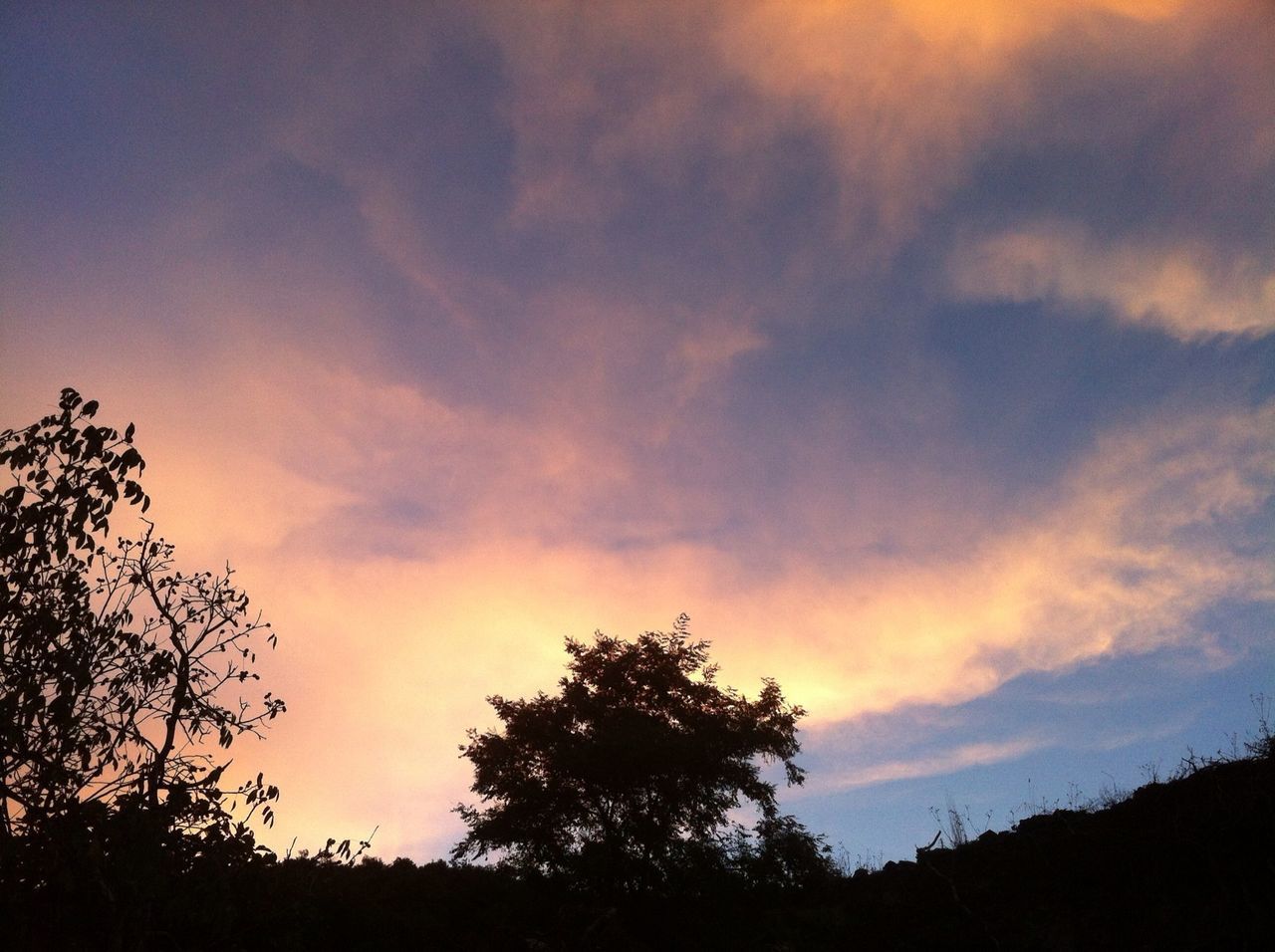 silhouette, tree, sky, sunset, beauty in nature, tranquility, scenics, tranquil scene, cloud - sky, low angle view, nature, cloudy, idyllic, growth, cloud, dramatic sky, orange color, outdoors, dusk, no people