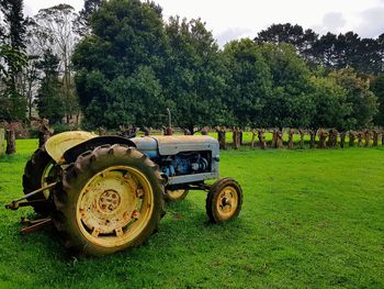Vintage car on field by trees against sky