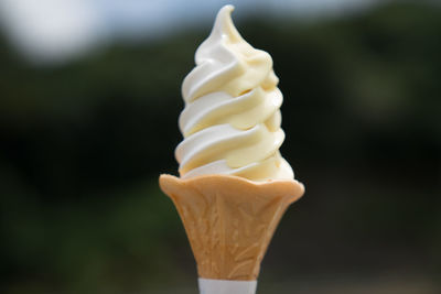 Close-up of ice cream