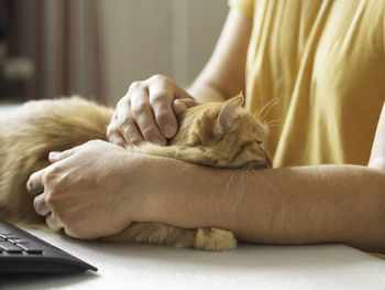 Man strokes ginger cat.domestic animal on desk in front of computer keyboard. freelancer' workplace.