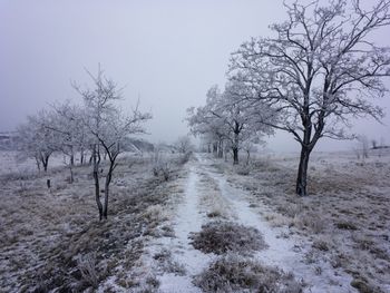 Bare trees on snow covered landscape against sky