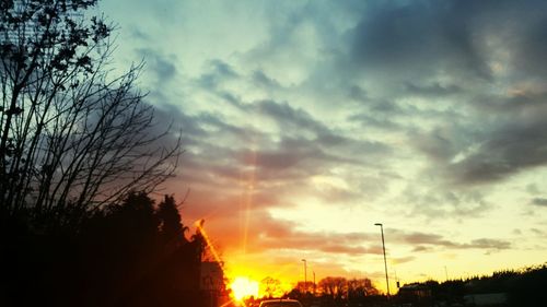 Silhouette of trees at sunset