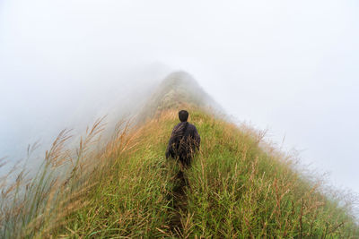 Man walking on grassy mountain during foggy weather