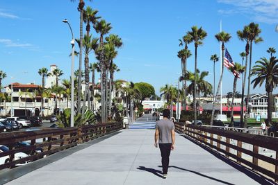 Rear view of man walking on palm trees