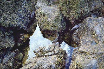 High angle view of water flowing through rocks
