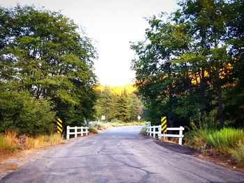 Road amidst trees against sky