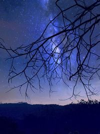 Silhouette of bare trees against sky at dusk