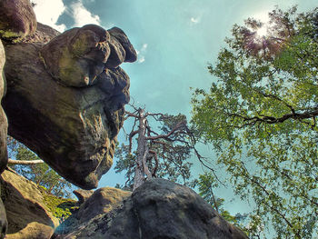 Low angle view of statue on tree against sky