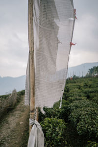 Textile against sky