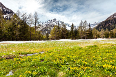 Scenic view of field against sky during winter