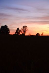 Silhouette trees on landscape against sky at sunset