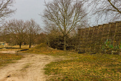 Footpath amidst bare trees and buildings against sky