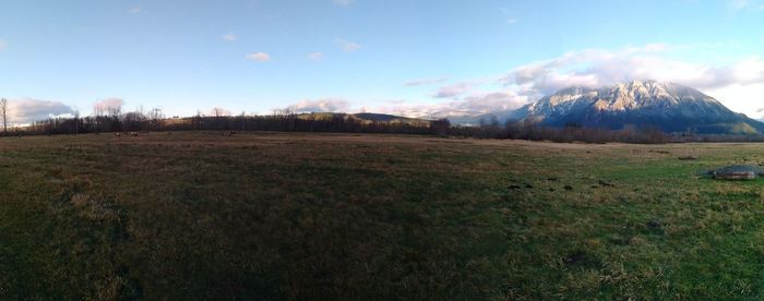 Scenic view of field against sky