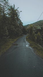 Road amidst trees against sky