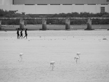 Man walking on riverbank against sky