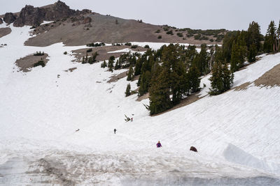 People walking on snow covered land