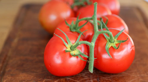 Close-up of tomatoes on table