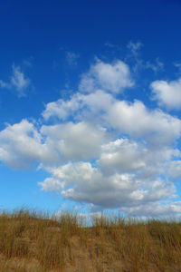 Scenic view of field against blue sky