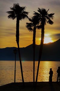 Silhouette palm trees on beach against sky during sunset