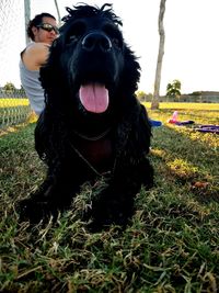 Portrait of black dog