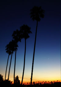 Silhouette palm trees against sky during sunset