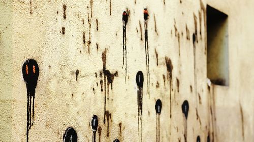 Close-up of weathered wall