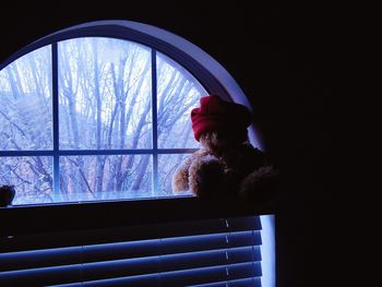 Bare trees seen through window