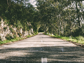 Road amidst trees in forest