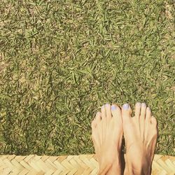 Low section of woman standing on field during sunny day