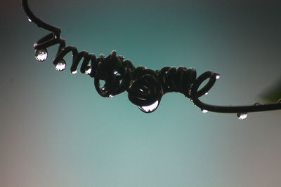 Low angle view of water drop against sky