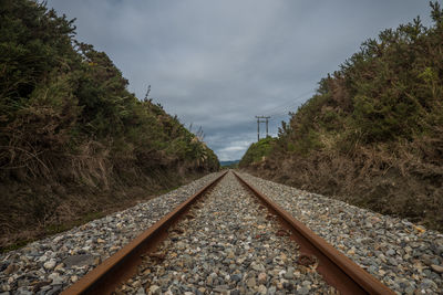 Railroad tracks amidst trees against sky