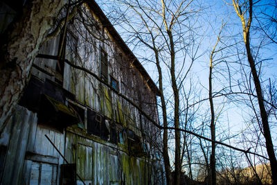 Low angle view of bare trees and building against sky